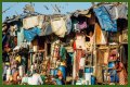 Crowded Cities and Rise in Diseases